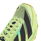 ZAPATILLAS Adidas Terrex AGRAVIC TT - Frolem/cblack/pulmin
